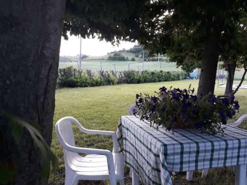 Bed & Breakfast Gavi/alice Open Space