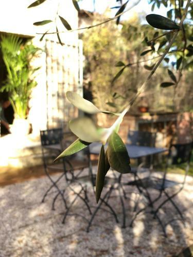 Bed & Breakfast La Dimora Del Conte