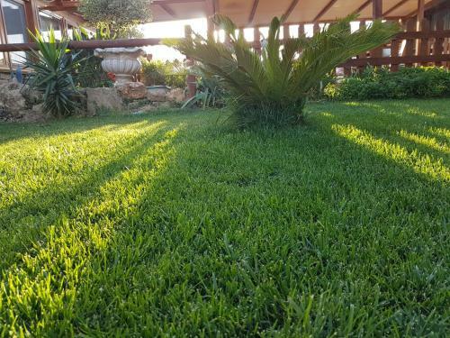 Apartamento Agriturismo Macchia Di Riso