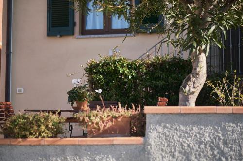 Casa Con Terrazza Vista Mare Isola D'elba