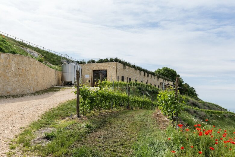 Hotel Ca' Del Moro Wine Retreat