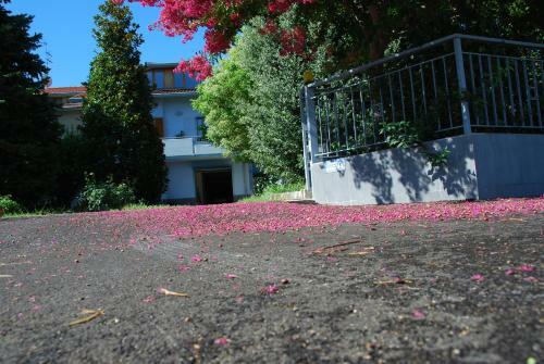 Bed & Breakfast Bianco Nuvola