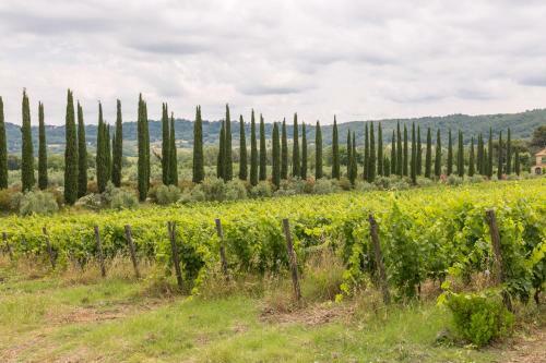 Bed & Breakfast Le Camere Del Relais La Pieve Vecchia