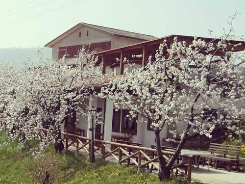 Agroturismo Agriturismo Al Ciliegio