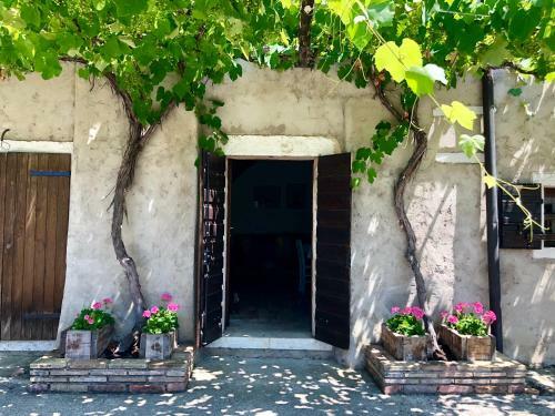 Apartamento Serene Holiday And Wine Farm