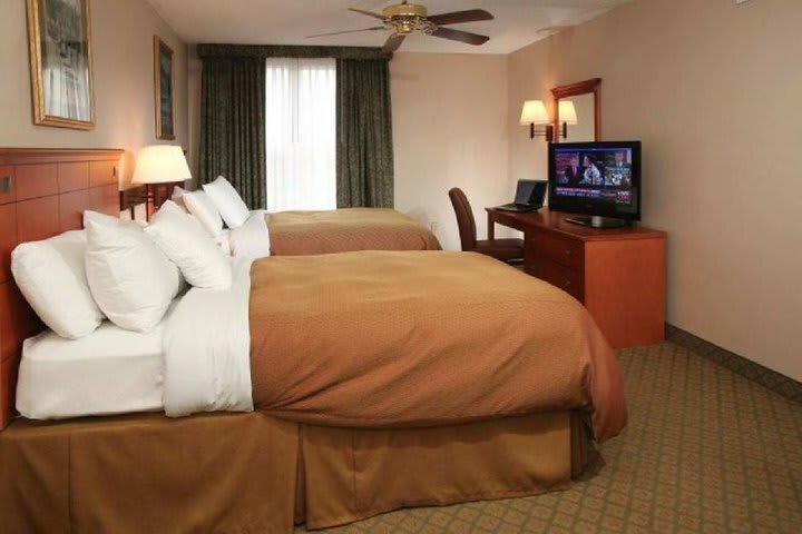 Hotel Homewood Suites International Drive