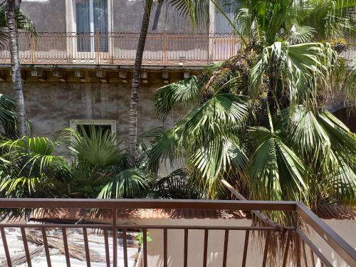 Don Mico Casa Vacanze 2