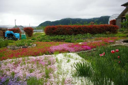 Bed & Breakfast Guest House Honami-kaido