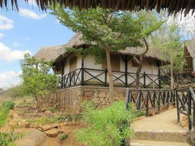 Lion Hill Safari Lodge