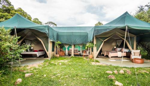 Losokwan Luxury Tented Camp - Maasai Mara