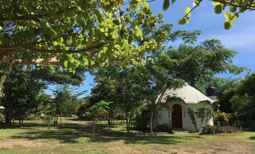 Hotel Wayando Beach Eco Lodge