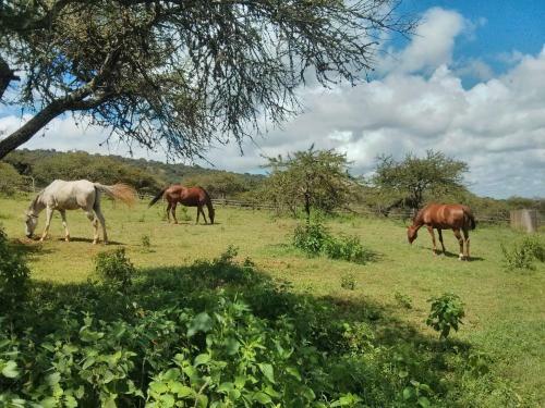 Agroturismo Kilima Kiu Manor