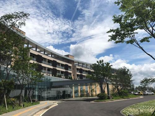 Hotel The Qube Resort Jeju