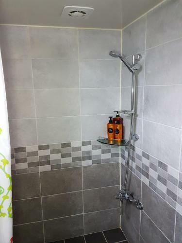 Bed & Breakfast Roommate In Ehwa