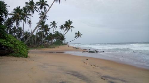 Green Villa Beach And Juice Bar