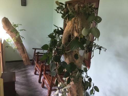 Hotel Sobakee Hill Resort Sri Lanka