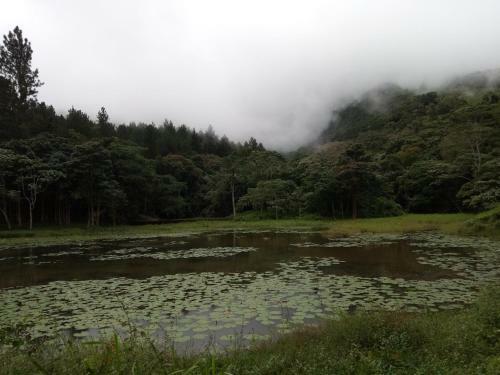 Hostal The Inn At Matale