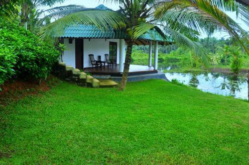 Bed & Breakfast Jungle Heart Cabanas