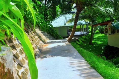 Bed & Breakfast Jungle Heart Cabanas