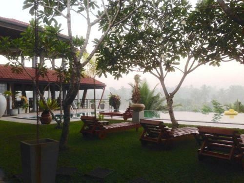 Bed & Breakfast Jungle Heart Cabanas