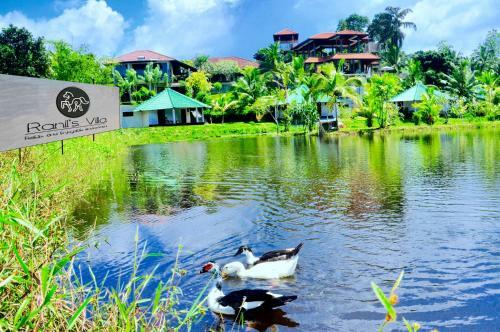 Bed & Breakfast Jungle Heart Cabanas
