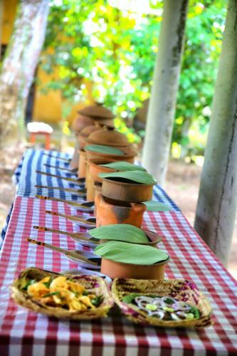 Albergue Cinnamon Grove Ayurveda Home