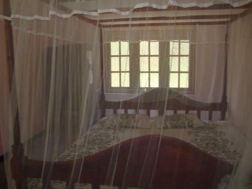 Mama Daisy's Homestay Rekawa.