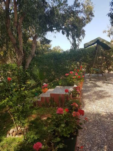 Location Vacances Casablanca Tamaris