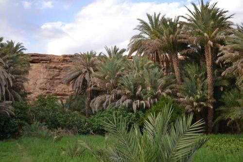 Agroturismo Salma Palm's Ferme D'h�tes