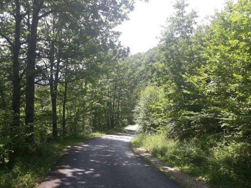 Lodge Country House Montenegro