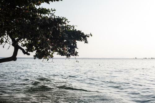 The Barat Perhentian