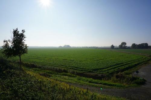 Hostal Herberg de Ring