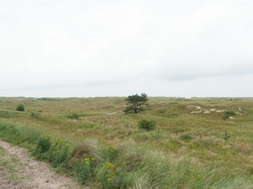 Sea Lodge Ameland 6