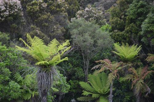 Hostal Quality Rural Stay Catlins Guesthouse