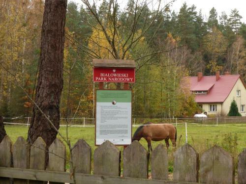 Lodge Domek Przy Wilczym Szlaku