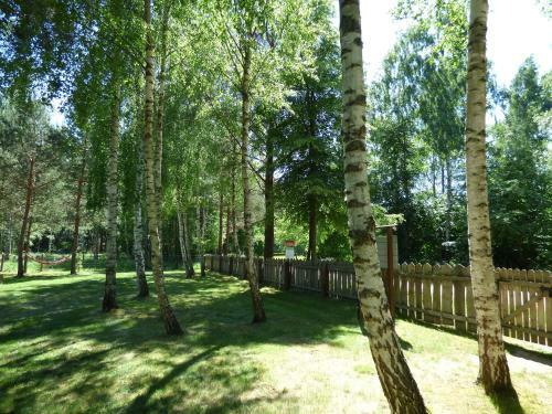 Lodge Domek Przy Wilczym Szlaku