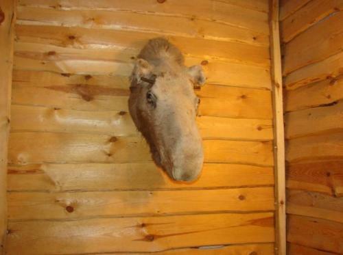 Posada Potargana Cha?upa