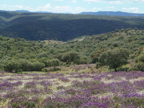 Agroturismo Monte Vale Mosteiro