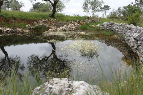 Quinta De S�o Jo�o