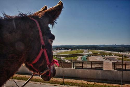 Agroturismo Burro Ville
