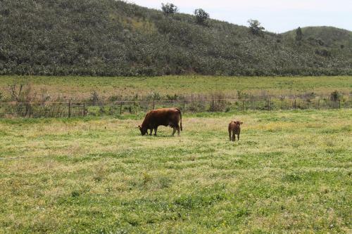 Agroturismo Burro Ville