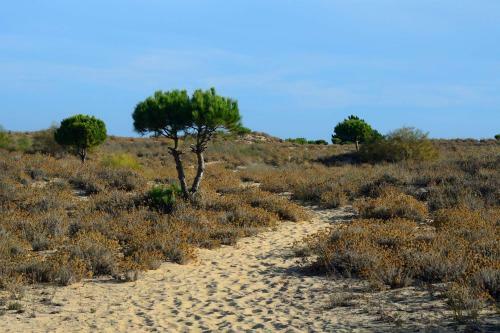 Barros de Sao Joao Villa Sleeps 6 Air Con