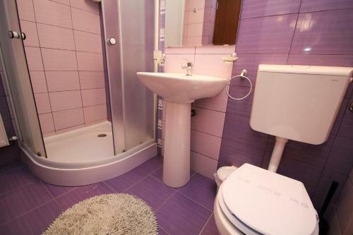 Hostal Pensiunea Ciobanelu