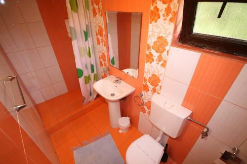 Hostal Pensiunea Ciobanelu