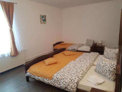Hostal Pensiunea Alpina