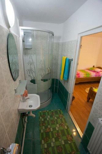 Hostal Pensiunea Badea Gheorghe Agro
