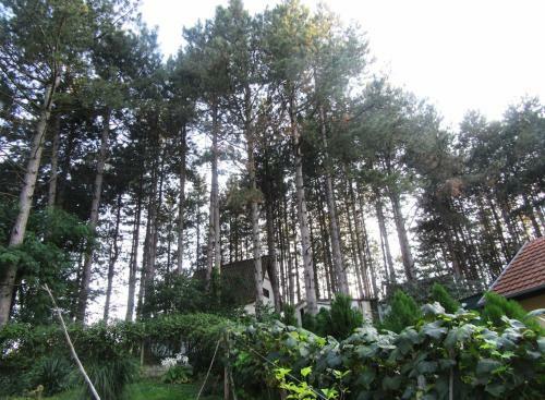 Hostal Guest House Keserovic