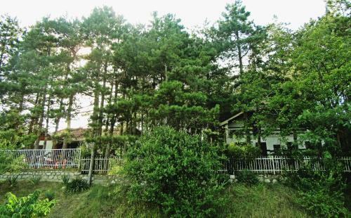 Hostal Guest House Keserovic