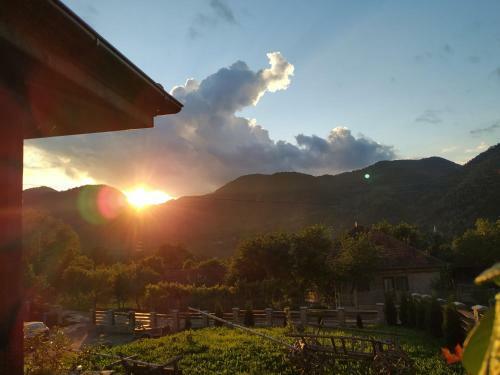 Hostal Pensiunea Carma
