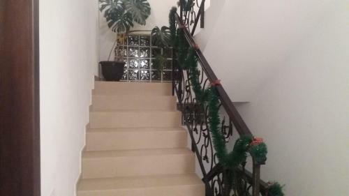 Hostal Pensiunea Obcina Mare